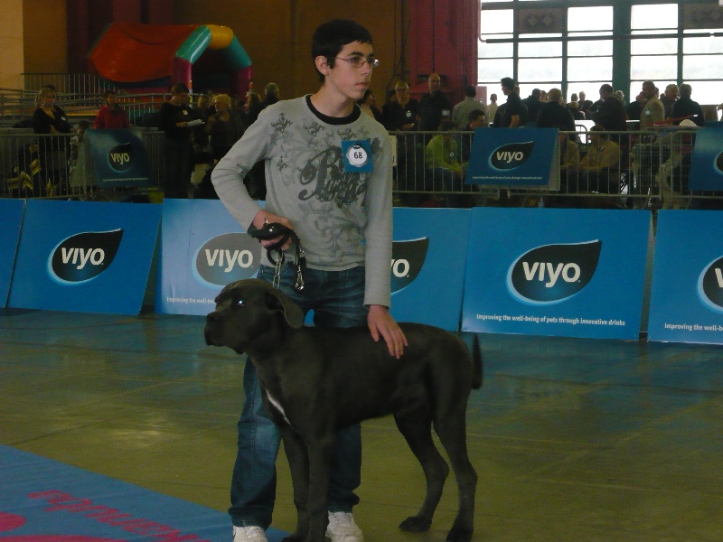 expo Charleroi