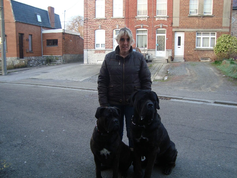 Moi , les enfants et mes chiens